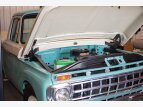 Thumbnail Photo 20 for 1965 Ford F250 2WD Regular Cab